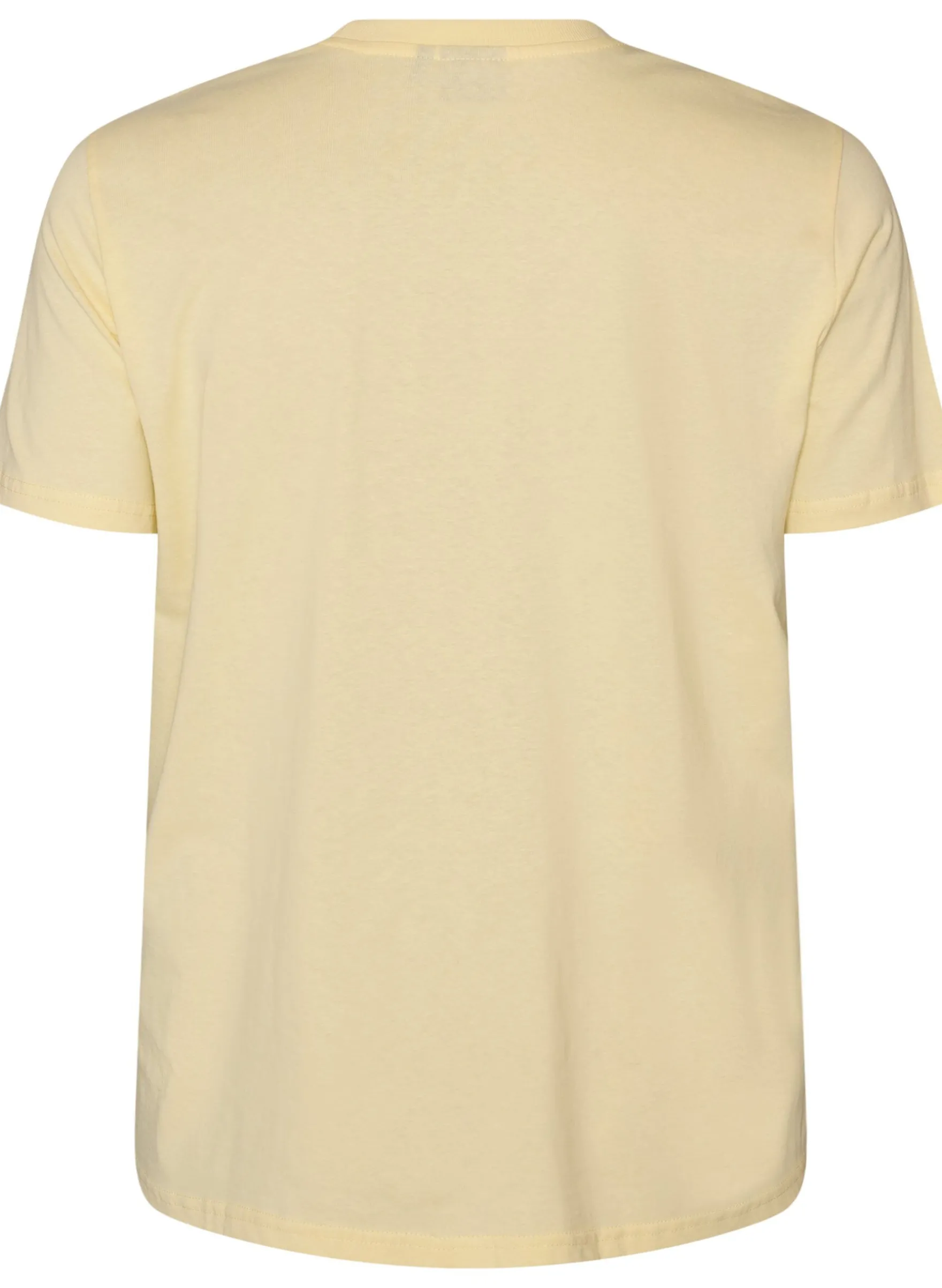 Basic T-Shirt aus Baumwolle mit Rundhalsausschnitt