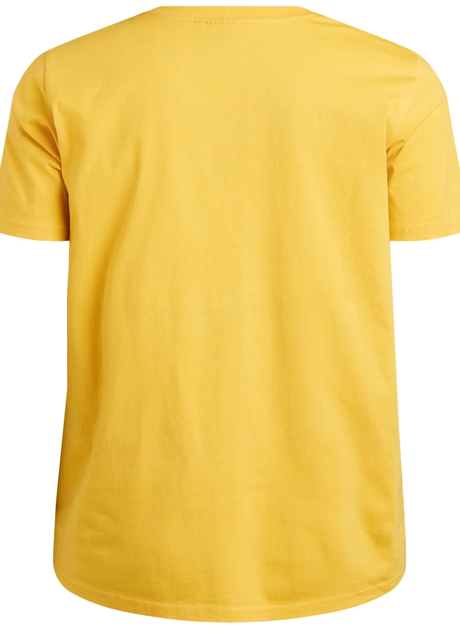 Basic-T-Shirt aus Baumwolle mit Rundhalsausschnitt