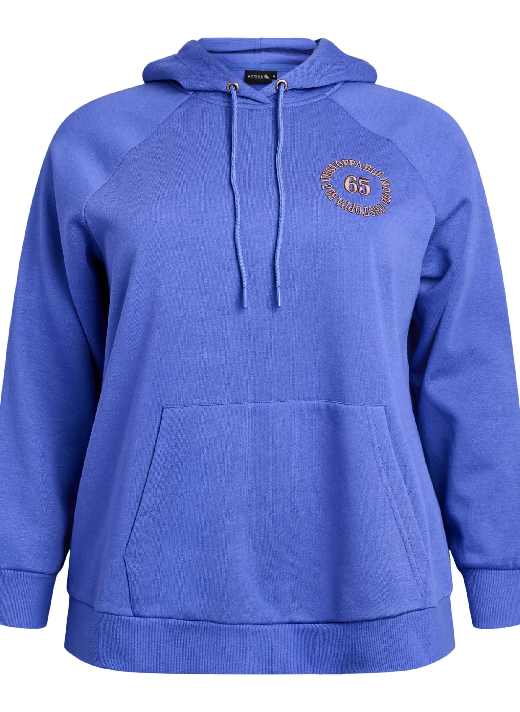 Hoodie mit gesticktem Frontmotiv