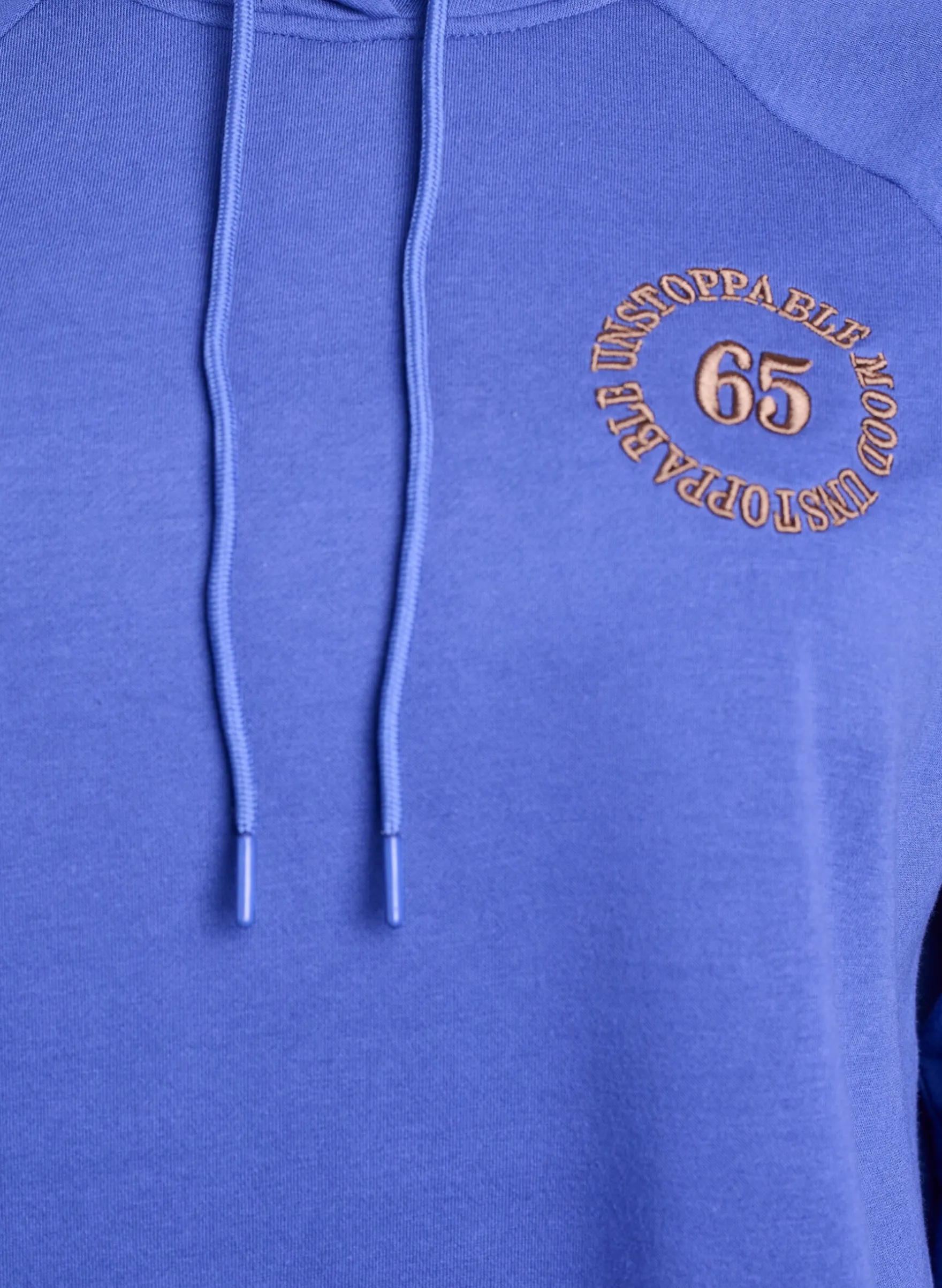 Hoodie mit gesticktem Frontmotiv