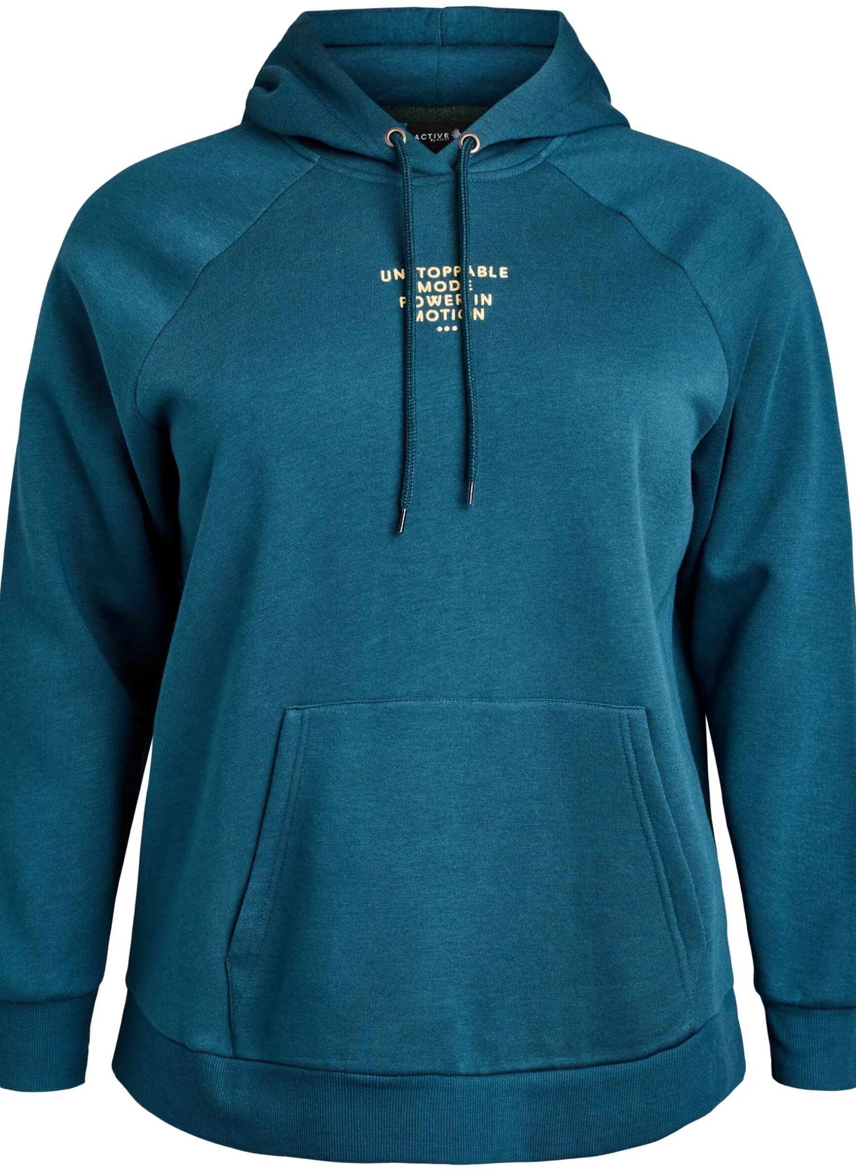 Hoodie mit gesticktem Frontmotiv