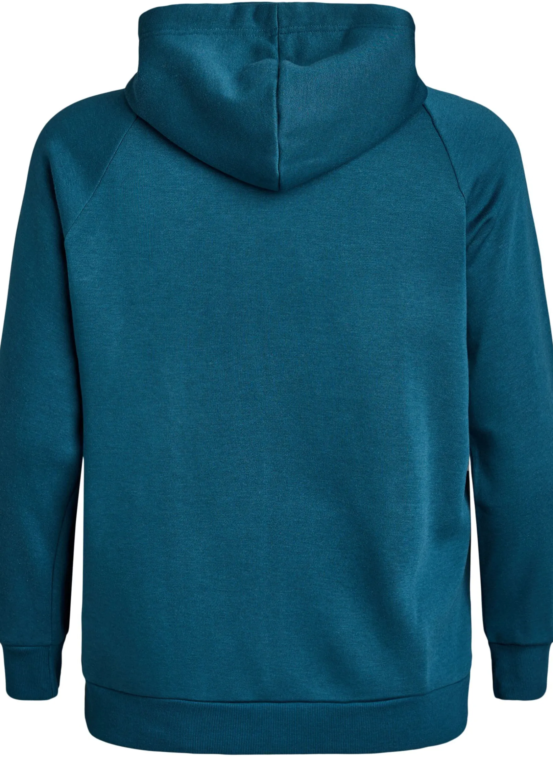 Hoodie mit gesticktem Frontmotiv