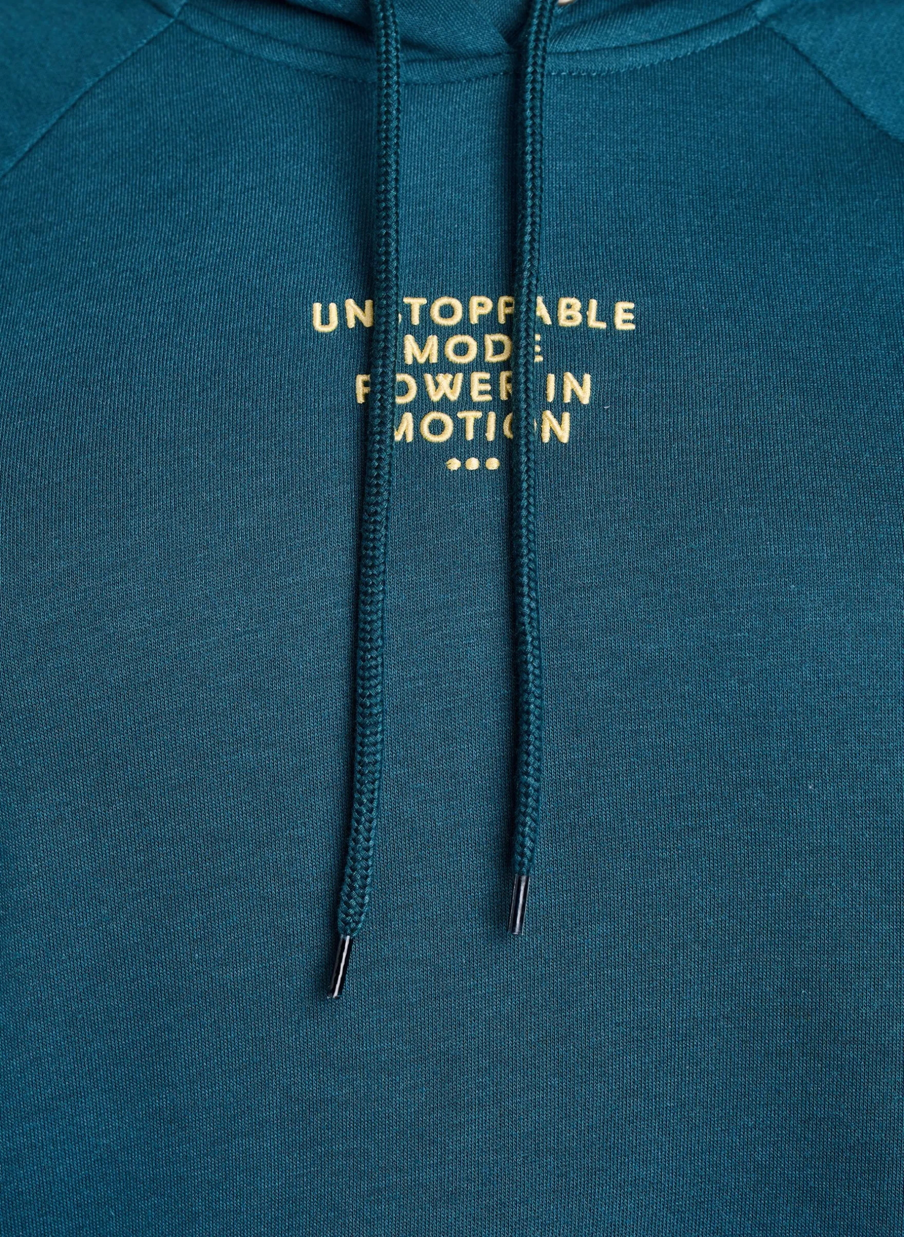Hoodie mit gesticktem Frontmotiv